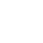 Other Immigration Services